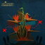 Common Kings / Lost In Paradise 輸入盤 【CD】