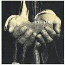 【送料無料】 高橋一平(Ippei Brown) / ippei brown 【CD】