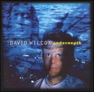 David Wilcox / Underneath 輸入盤 【CD】