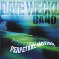 Dave Weckl デイブウェックル / Perpetual Motion 【CD】