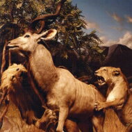 Interpol <strong>インターポール</strong> / Our Love To Admire (10周年記念盤)(2枚組アナログレコード+DVD)(初回限定盤) 【LP】