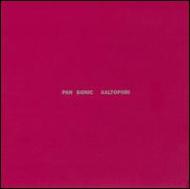 Pan Sonic / Aaltopiiri 輸入盤 【CD】