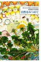 自然をみつめて 南九州大学創立50周年記念 環境園芸学部論集 / 南九州大学環境園芸学部 【本】