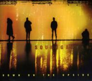 Soundgarden サウンドガーデン / Down On The Upside 輸入盤 【CD】