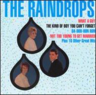 Raindrops / Raindrops 輸入盤 【CD】