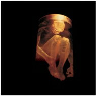 Alice In Chains アリスインチェインズ / Nothing Safe - Best Of The Box 輸入盤 【CD】