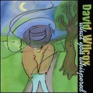 David Wilcox / What You Whispered 輸入盤 【CD】
