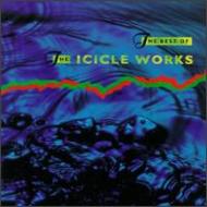 Icicle Works / Best Of Icicle Works 輸入盤 【CD】