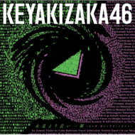 <strong>欅坂46</strong> / <strong>ベストアルバム</strong>『永遠より長い一瞬 ～あの頃、確かに存在した私たち～』 【通常盤】 【CD】