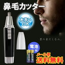 【マラソン期間P10倍】【メール便送料無料】電池プレゼント!...