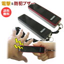 【1個迄メール便送料無料】持ってて安心!電撃&防犯ブザー ひ...