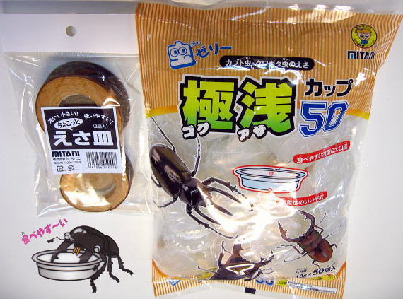 極浅カップ50　皿木セット　昆虫ゼリーカップが浅く食べやすい