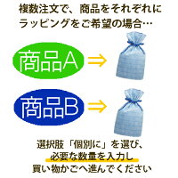 ラッピング(袋タイプ)/ブルーピンク父の日対応母の日対応/誕生日プレゼント/ギフト/【楽ギフ_メッセ入力】