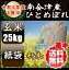 令和4年産/1等米 南会津産ひとめぼれ玄米 25kg 【特A産地】【送料無料】 ☆有名米どころ南会津の一等米！【産地直送福島県産会津米】【smtb-TD】【tohoku】【がんばろう！福島】【RCP】