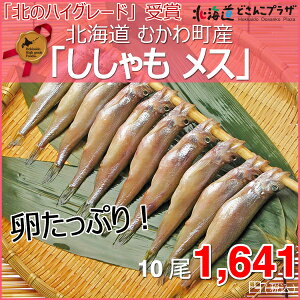 【北のハイグレード】生干ししゃもLメス10尾