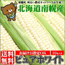 送料無料 北海道産 白いとうもろこし ピュアホワイト(10本) 南幌町明るい農村ネットワーク【北海道産 北海道直送 産地直送 旬 トウモロコシ ホワイト 白系 ピュア 白とうもろこし 夏 フルーツ 果物】 敬老の日