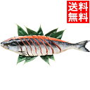 お歳暮 魚介 ギフト送料無料 日高太平洋沖産 銀毛色新巻鮭切...
