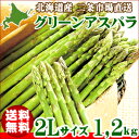 【500ptプレゼント&スマホ10倍(要条件確認)】【送料無料】北海道産 アスパラ 1.2kg(2Lサイズ限定)【あすぱら/アスパラガス/グリーンアスパラ/北海道/北海道直送/お取り寄せ/ギフト/バーベキュー】