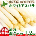 【500ptプレゼント&スマホ10倍(要条件確認)】【送料無料】北海道産 ホワイトアスパラ 1.2kg(2L/Lサイズ限定)【産地直送/あすぱら/アスパラ/アスパラガス/グリーンアスパラ/北海道/北海道産/バーベキュー】