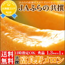 【500ptプレゼント&全商品ポイント10倍(条件