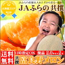 【敬老の日ギフト/北海道秋の味覚★大好評受付中】【送料無料】北海道 富良野メロン(共撰 優品 2.0kg×2玉)【フルーツ/メロン/ふらのメロン/北海道産/ギフト/敬老/敬老の日/お取り寄せ】【お届け可能期間:8月19日(火)?9月28日(日)】