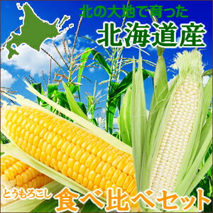 【送料無料/北海道産】 佐藤さんの8月詰め合わせ Aセット 【とうもろこし/食べ比べ/お試し/詰め合わせ/産地直送/北海道/北海道直送/お土産/通販/お取り寄せ/自宅用/ギフト/野菜生活】