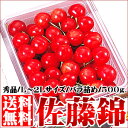 【500ptプレゼント(条件確認)】7月18日(木)から出荷!【送料無料/北海道産】高級 さくらんぼ 「佐藤錦」 秀品 L/2Lサイズ 500g×1箱 (バラ詰め 化粧箱入り)【お中元/北海道/北海道産 /さくらんぼ/サクランボ/佐藤錦】【楽ギフ_のし】