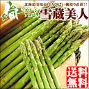 2013年度出荷分☆早期予約受付中【送料無料】北海道 美唄産 アスパラ「雪蔵美人」 1.0kg(LMサイズ限定)【アスパラ 1kg/産地直送/あすぱら/アスパラ/アスパラガス/グリーンアスパラ/お取り寄せ/ギフト】