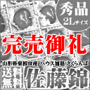 完売御礼★母の日高級さくらんぼ佐藤錦 『プレミアムボックス』（山形県 東根産） 秀品 2Lサイズ( 24粒・メッセージカード付き)エントリーで100,000ポイント山分け！購入＆レビューを書いた方に500ptプレゼント！開催期間：5月1日(水)10:00〜5月8日(水)9:59