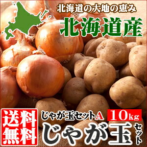 《500ptプレゼント中(条件要確認)》2013年出荷開始！北海道産 じゃが玉 Aセット(男爵薯＆玉葱) 10kg≪開催中≫エントリーで100,000ポイント山分け！購入＆レビューを書いた方に500ptプレゼント！開催期間：9月24日(火)10:00〜10月1日(火)9:59