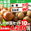 北海道産 じゃがいも じゃが玉セット 男爵5kg(LMサイズ...