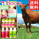 お歳暮 スイーツ ギフト送料無料 BOCCA 牧家 乳製品詰め合わせ(2)【北海道 ギフト ス