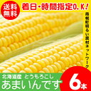 2018年度 今季出荷開始中!北海道産 とうもろこし 南幌町...