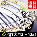 今季出荷開始送料無料 北海道産 サンマ 2キロ(大:12尾〜...