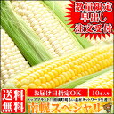 最速出荷!お盆も15日出荷以外対応中!【送料無料】南幌町明るい農村ネットワーク「南幌スペシャル」1箱 10本入り早くできすぎちゃいました!【北海道/北海道産/ホワイト/とうきび/とうもろこし/トウモロコシ/ピュアホワイト/お取り寄せ】