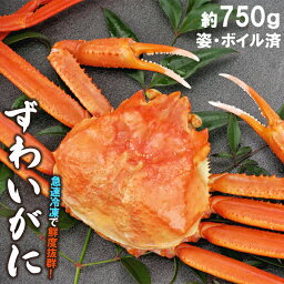 母の日 カニ かに 海鮮 ギフト送料無料 <strong>ズワイガニ</strong> （1尾約750g・ボイル済み）【母の日ギフト プレゼント 2024 内祝い 贈り物 ずわい ずわいがに ズワイ <strong>姿</strong> まるごと ボイル済み 茹で済み 二匹 北海道 冷凍 人気 海鮮 内祝い】gghp