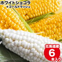 今季出荷開始とうもろこし 北海道 送料無料 北海道産 ホワイ...
