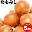 今季出荷開始!送料無料 北海道産 玉ねぎ(北もみじ)5kg(...