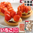 お中元 ギフト フルーツ送料無料 北海道産 いちご さがほのか使用!北海道産いちごと和洋タルトのコンビセット【北海道 十勝産 内祝い 御祝い 贈り物 プレゼント 産地直送 果物 銀龍苺 スイーツ タルト】【10_OFF】