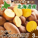 【北海道産】インカのめざめ 【LMサイズ】1箱 3キロ入り 【3kg/産地直送/イモ/新じゃが/ジャガイモ/じゃがいも/北海道/北海道産/北海道直送/お取り寄せ】