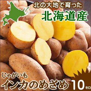 【エントリーでポイント14倍】送料無料 【北海道産】 新じゃがいも インカのめざめ 【LMサイズ】 1箱 10キロ入り 【10kg/産地直送/イモ/新じゃが/ジャガイモ/じゃがいも/北海道/北海道直送/お土産/通販/お取り寄せ/自宅用/ギフト/お中元/バーベキュー】新じゃが予約受付中☆ホックホクの美味しさ♪【熨斗/包装/カード/対応不可商品】