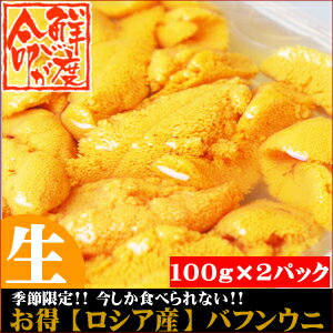 【送料無料/場外市場直送】 厳選 ロシア産 塩水生バフンウニ 100g入り×2 【うに/ウニ/海栗/生うに/生ウニ/塩水うに/北海道直送/お取り寄せ/正規品/ロシア/ロシア産/ギフト/贈り物/お祝い/内祝い/季節限定】【マラソン201207_生活】