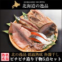 贈り物 ギフト 海鮮送料無料 干物 ピチピチ造り 北海干物5点セット【珍味 おつまみ 干物セット 魚醤 干物 北海道産 海鮮 セット 詰め合わせ 盛り合わせ サンマ ホッケ イカ一夜干し 御祝い 内祝い 残暑御見舞い 御挨拶】