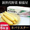 送料無料 北海道産 新世代野菜 ネバリスター(5kg)【なが...