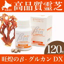 送料無料 北海道産 鹿角霊芝 旺煌のβ-グルカン Dx (2...