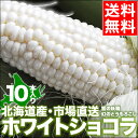 2018年ご予約承り中 8月出荷開始送料無料 北海道産 とう...