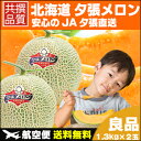 送料無料 夕張メロン (共撰 良品 約1.3kg 2玉)【夕...