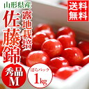2018年ご予約承り中 6月出荷開始送料無料 さくらんぼ佐藤...