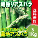 送料無料 北海道産 グリーンアスパラ(Sサイズ 1kg)【ア...