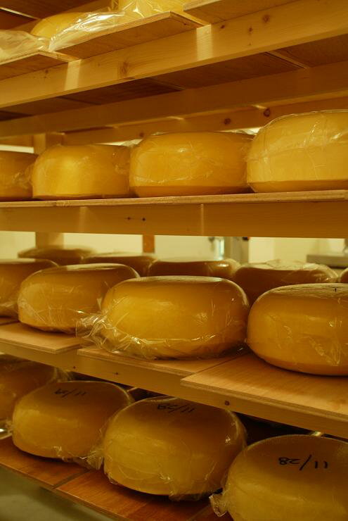 北海道産ナチュラルチーズ『スモークチーズ』オホーツクおこっぺ牛乳のおいしさを、ギュッと凝縮